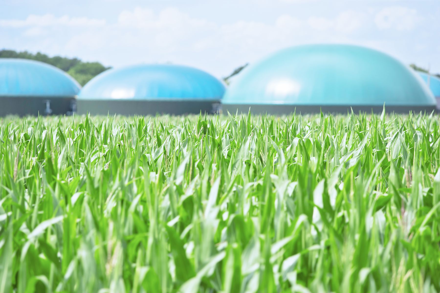 Global Biogas Market Poised to Reach USD 109.6 Billion by 2036