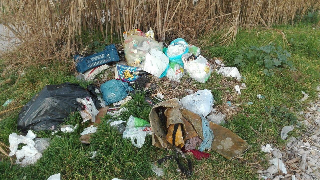 Abbandona rifiuti, multato imprenditore per 200 euro