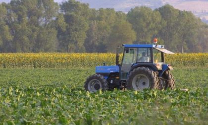 Stroncato da malore mentre lavora nei campi: il corpo trovato in aperta campagna