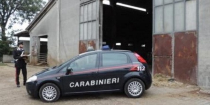 Indebitata, simula un  furto di bestiame