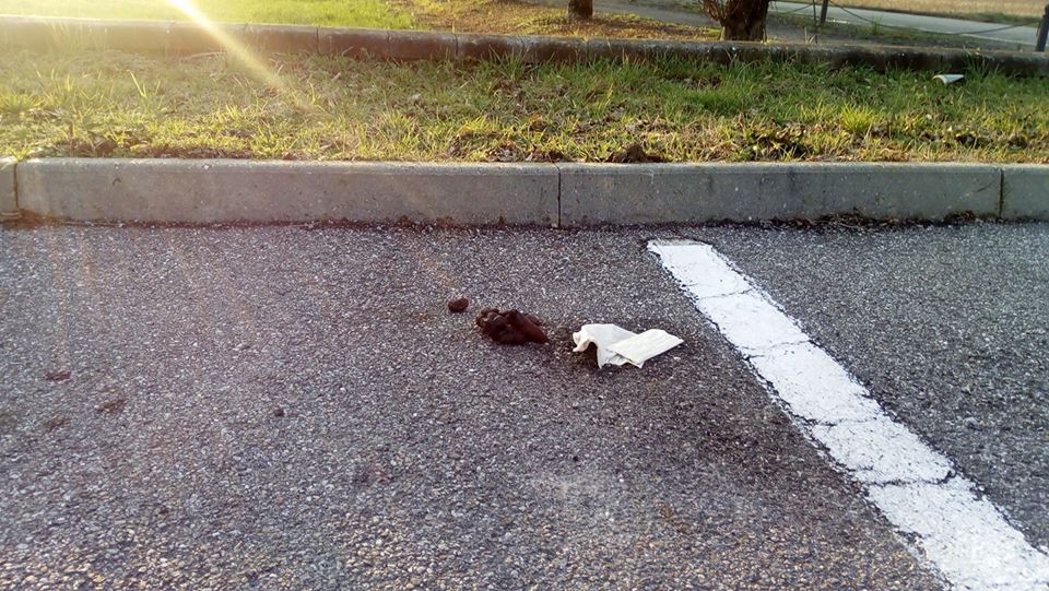 Feci umane davanti all’ingresso del cimitero, è caccia al vandalo