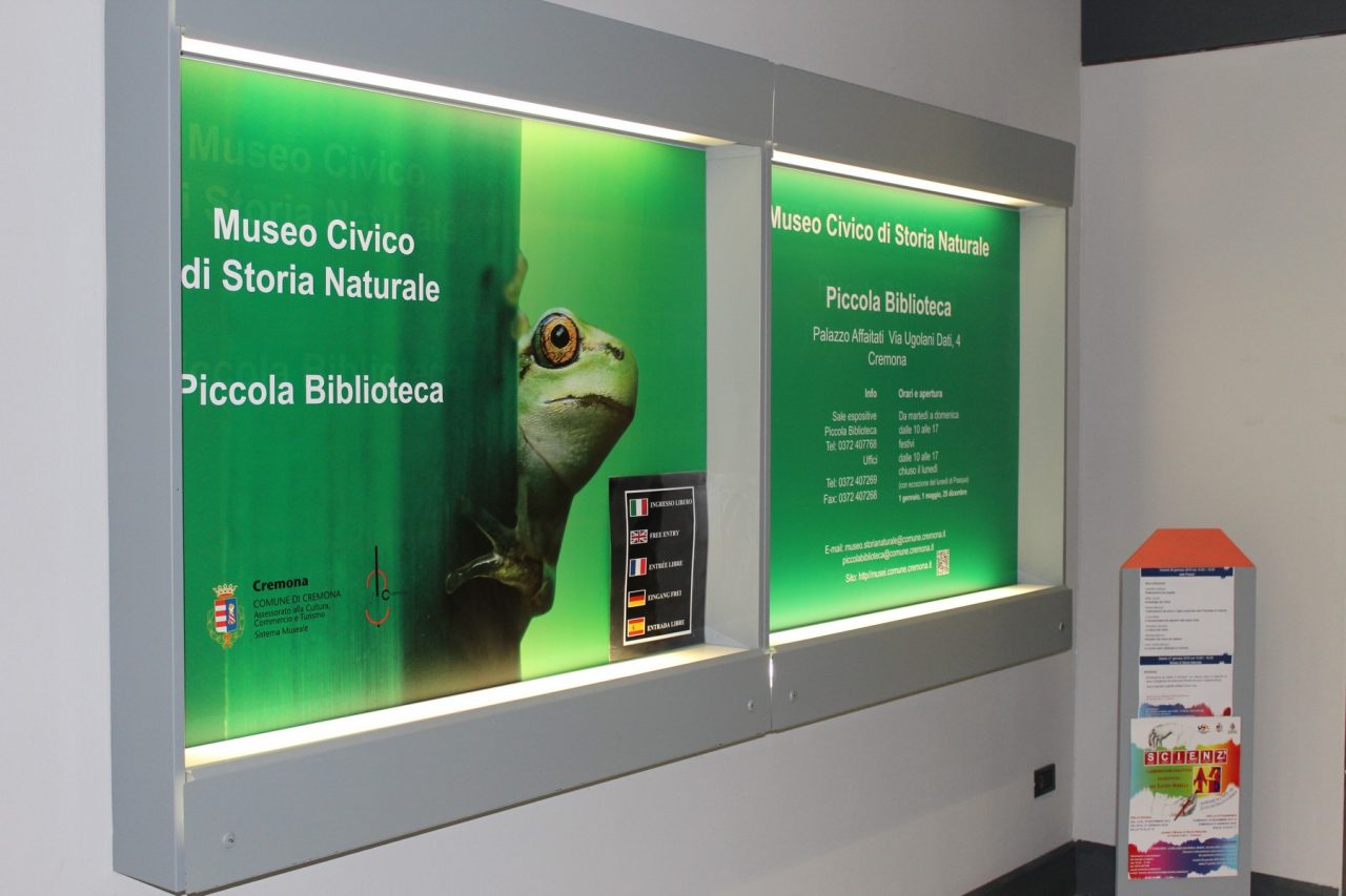 Eventi Cremona 2018: incanto di scatole magiche al Museo di Storia Naturale