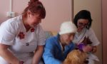 Oncologia di Cremona apre agli animali domestici dei pazienti