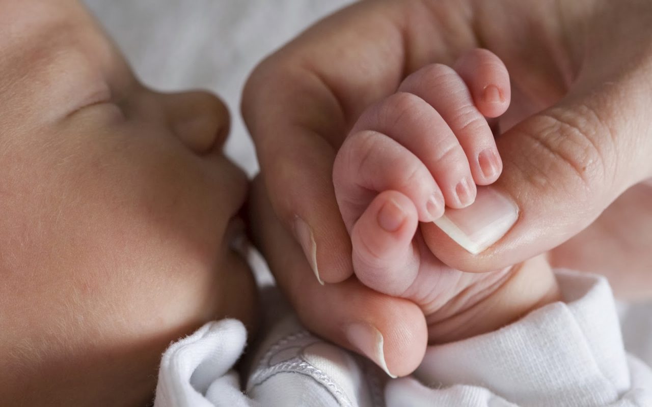 Onlus Mammalia nasce a Cremona per l’allattamento e la genitorialità