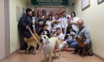 Animali in ospedale: "invasione" pelosa in reparto Foto