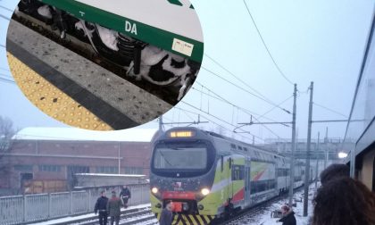 Treno congelato si guasta, la rabbia dei pendolari "prigionieri" per ore al gelo  VIDEO FOTO