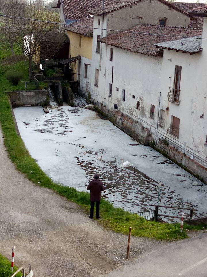 Sversamento in roggia | Ancora schiuma e pesci morti nei fossi