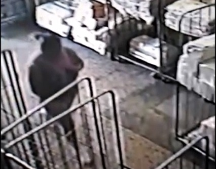 Borsa rubata in lavanderia: le telecamere riprendono la ladra VIDEO