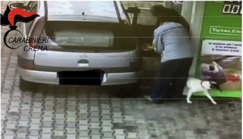 Abbandona il cane dal benzinaio, beccato e denunciato