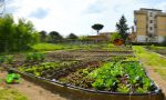 Orti urbani: Cremona terza in Lombardia