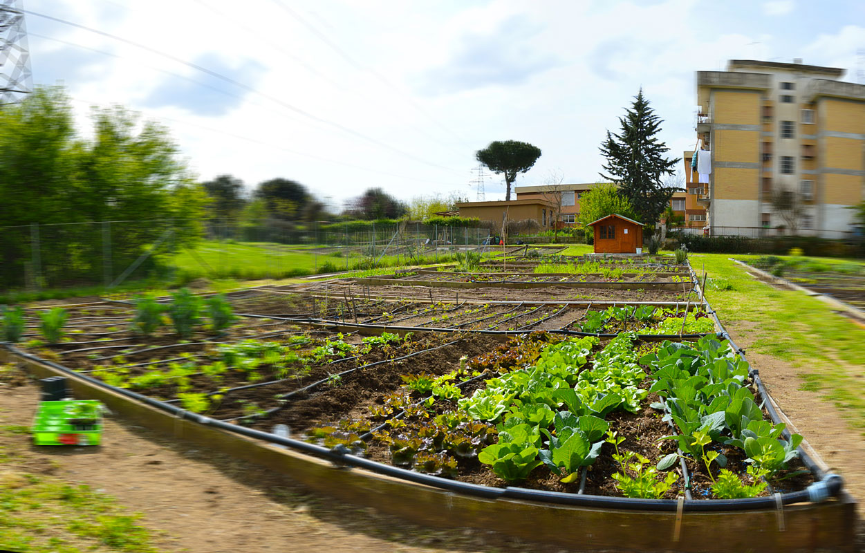 Orti urbani: Cremona terza in Lombardia