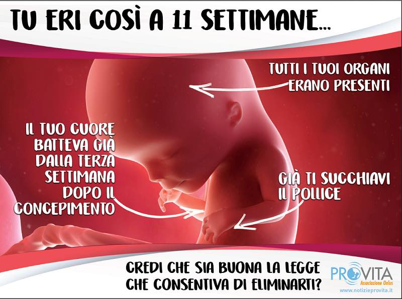 La campagna anti aborto arriva a Crema con i manifesti di Pro Life