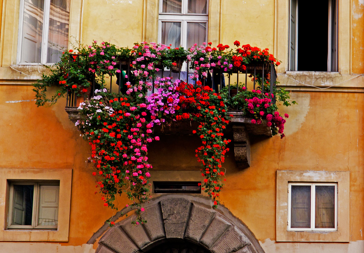 Quartiere in fiore: il concorso promosso dal Comitato 10 Po