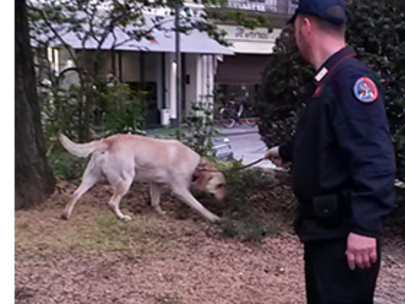 Carabinieri con cane anti droga Grinder a scuola