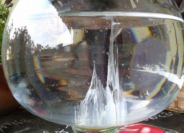 Come preparare la Barca di San Pietro questa notte