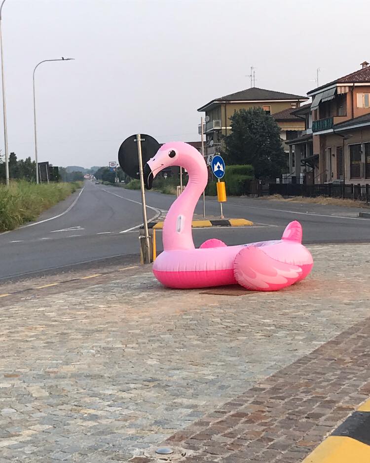 “Progetto per Spino”: “Il fenicottero ci piace”