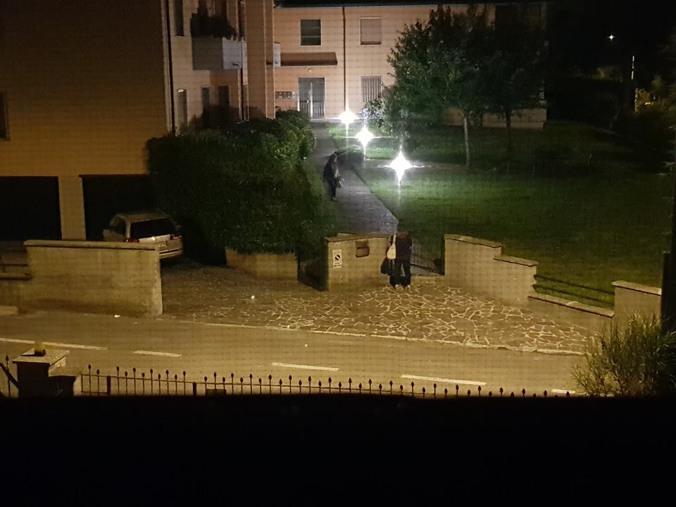 Beccate e fotografate mentre rubano fiori in un giardino