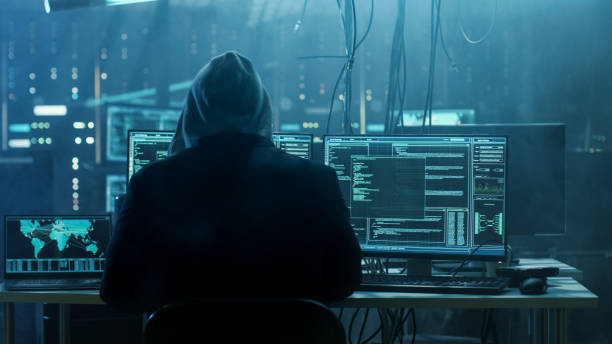 Hacker Cremonese viola 650 siti, nella sua rete anche il Tribunale di Milano
