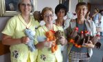 Peluches da Coop Lombardia all'Asst di Cremona