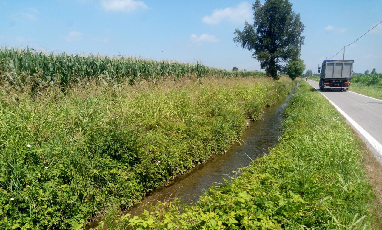 Roggia Acqua Rossa, l’argine rischia di franare