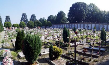 Erbe infestanti al cimitero di Crema