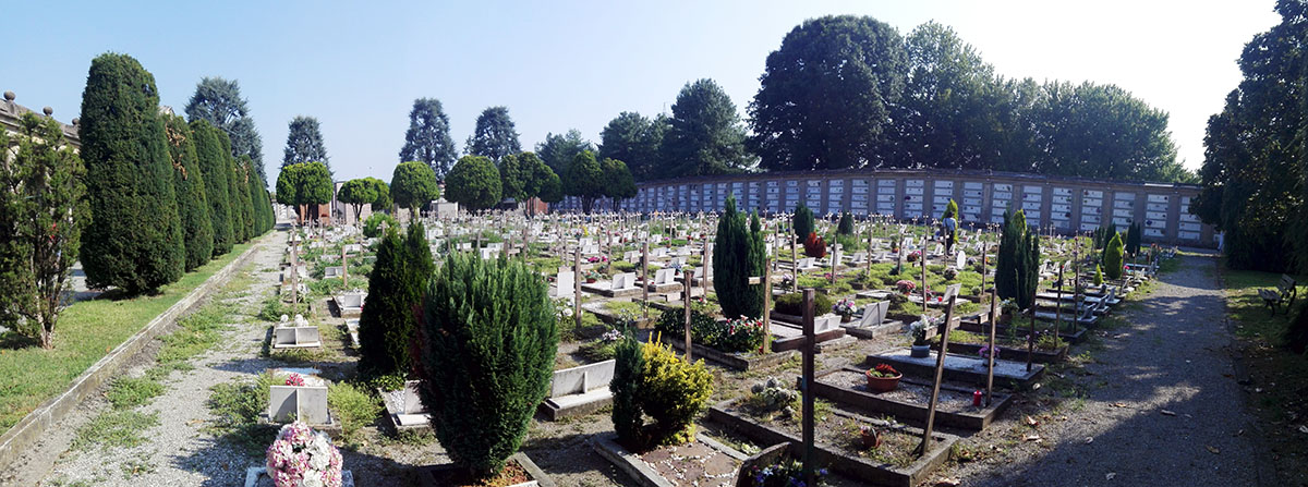 Erbe infestanti al cimitero di Crema