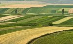 Campagne cremonesi allarme Coldiretti: manca l'acqua