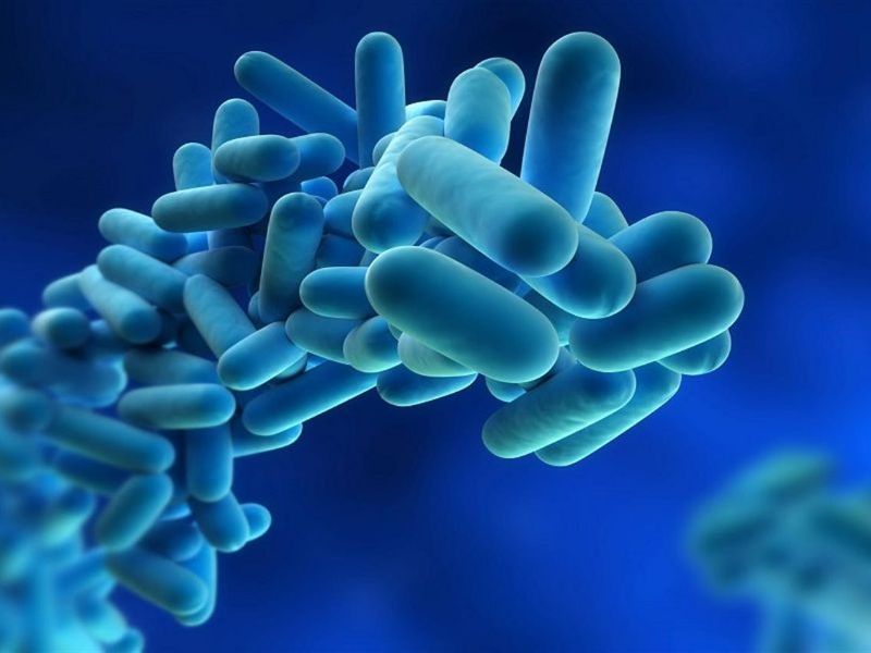 Legionella in Lombardia, un caso anche a Cremona