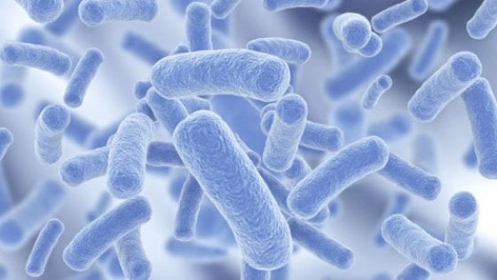 Legionella come prevenire il contagio