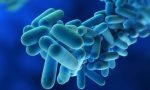 Muore di legionella a 51 anni: torna l'incubo in Lombardia?