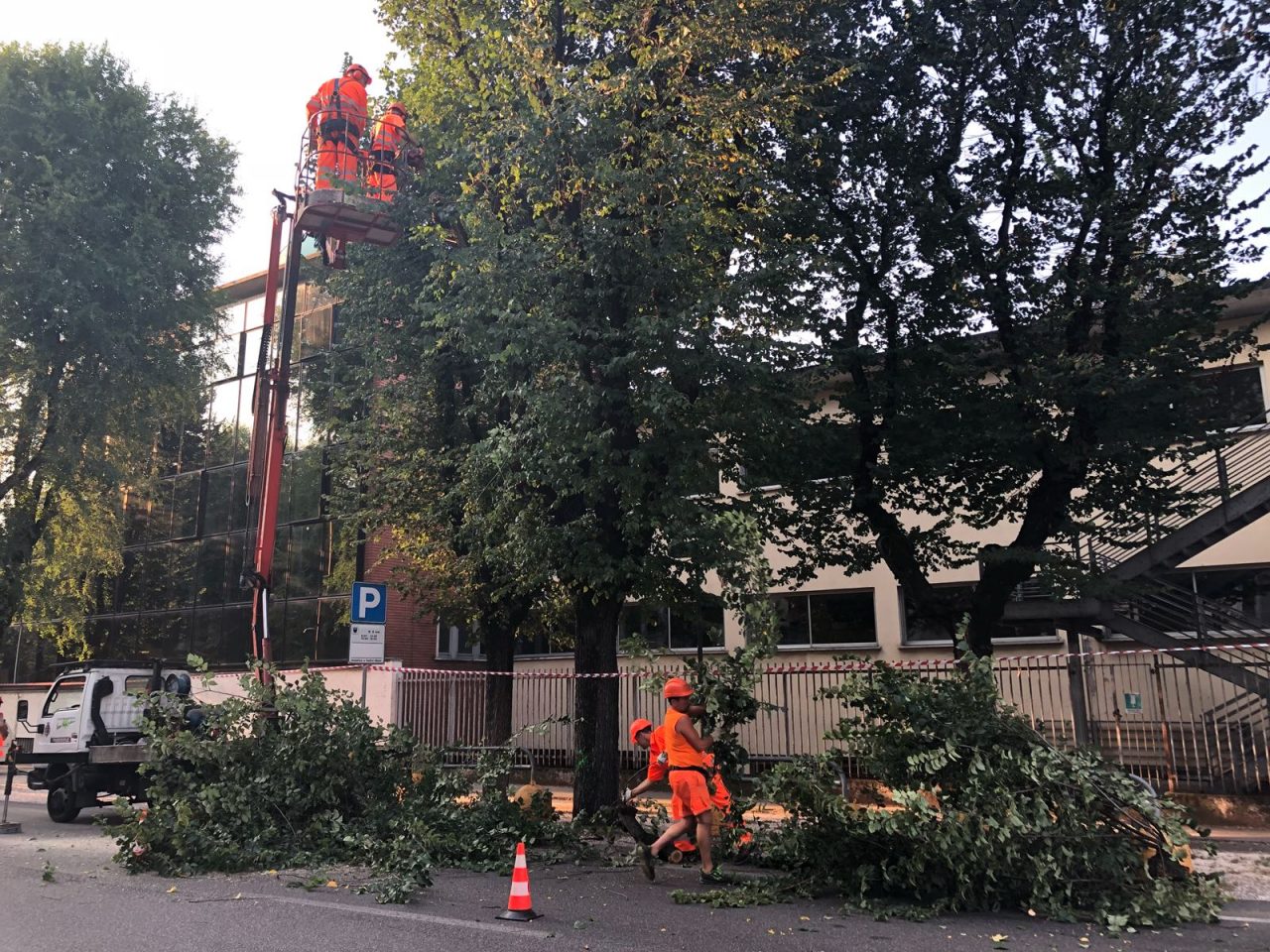 Ciclabile viale Trento e Trieste, riqualificazione dell’alberatura e niente modifiche alla viabilità