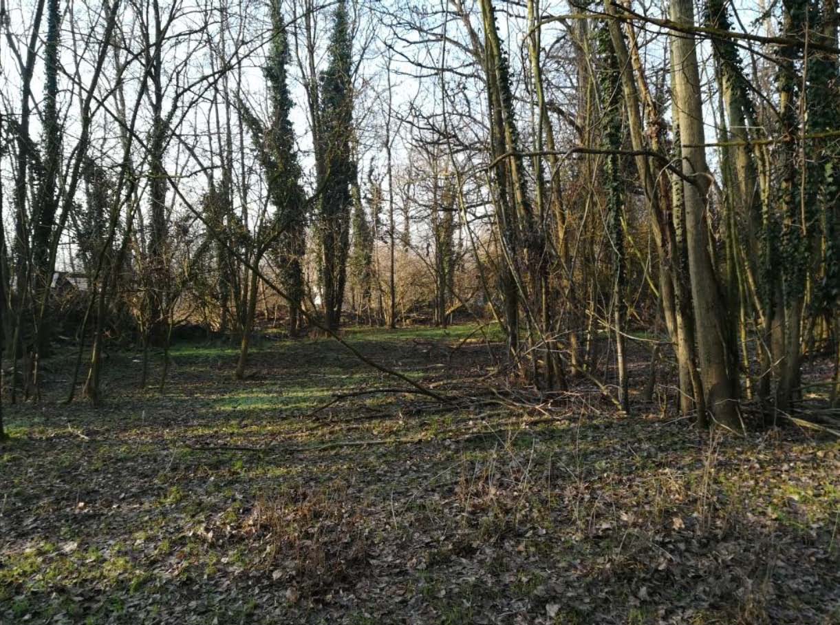 Dal Morbasco al Po, Paesaggi in rete”, approvato il progetto esecutivo