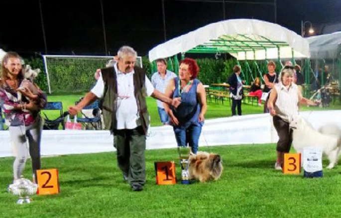 Pioggia di premi per il pechinese Fly