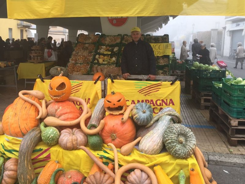 Campagna Amica torna al Quartiere 1: sapori del territorio e sorprese per gli over 70