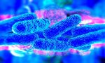 Legionella ancora casi nel Lodigiano