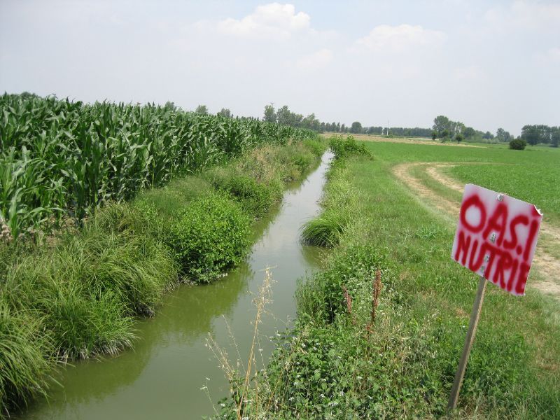 Emergenza nutrie, firmato il protocollo con la Regione