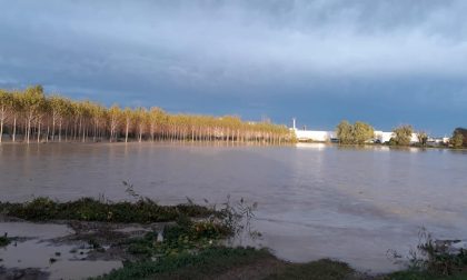 Maltempo Bassa | Morengo e Cologno senza corrente "State lontani dal fiume"