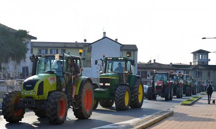 La Festa del Ringraziamento a Pandino fra colore e goliardia FOTO