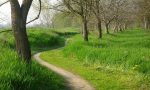 Parco del Po e del Morbasco: scopri le Foreste Urbane nel Cremonese