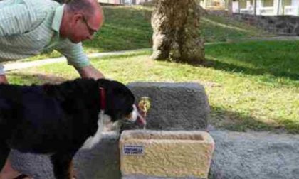 Chiusura fontanelle in giardini attrezzati ed aree cani