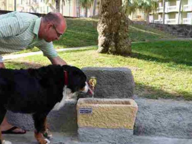 Chiusura fontanelle in giardini attrezzati ed aree cani