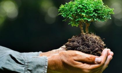 Al via l’iniziativa "Regala un albero alla tua Città"