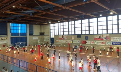 Minivolley: oltre 70 bambini in campo per la tappa cremasca