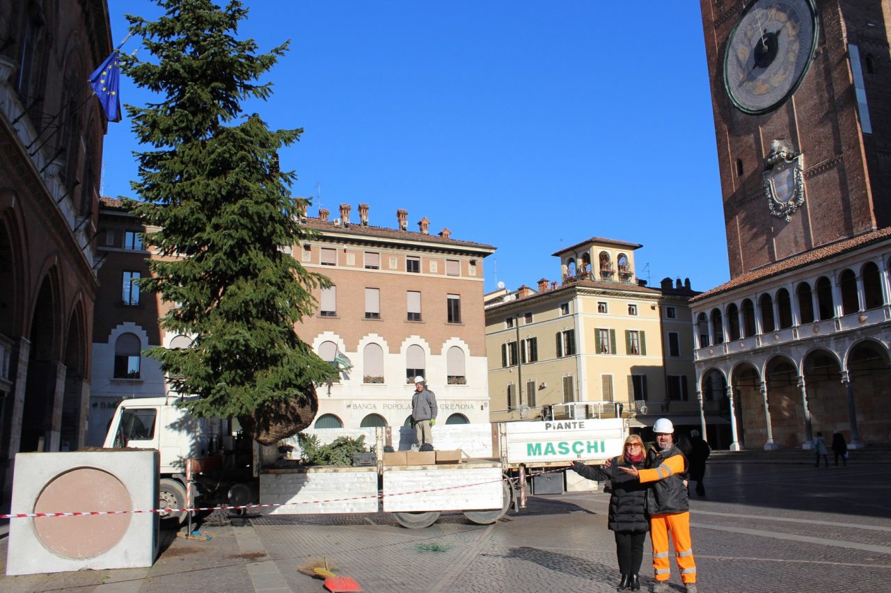 L’albero di Natale di piazza del Comune crescerà alla scuola infanzia del Boschetto
