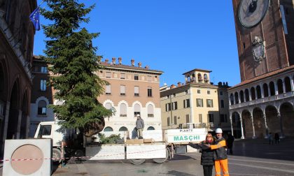 L’albero di Natale di piazza del Comune crescerà alla scuola infanzia del Boschetto