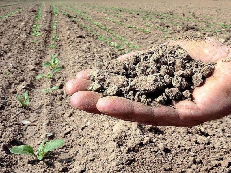 Livello del Po: vicini al record di siccità storica