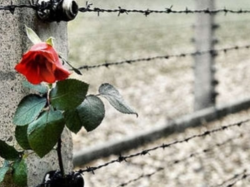 Dalle scuole agli incontri con i familiari dei deportati nel ricordo della Shoah