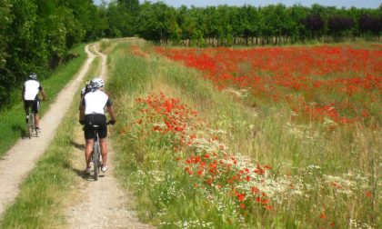 Ciclovia dell'Oglio, la più bella d'Italia per l'Italian Green Road Award