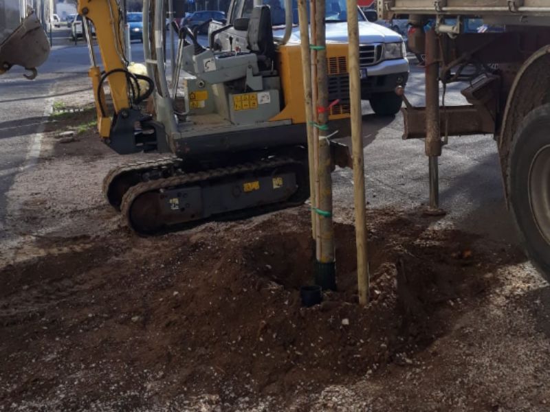 Nuove piantumazioni, al via la seconda fase