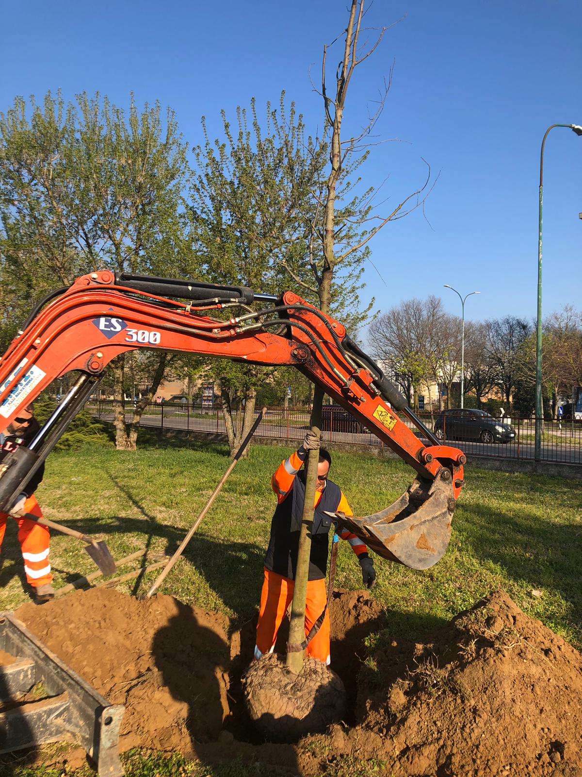 Regala un albero 03